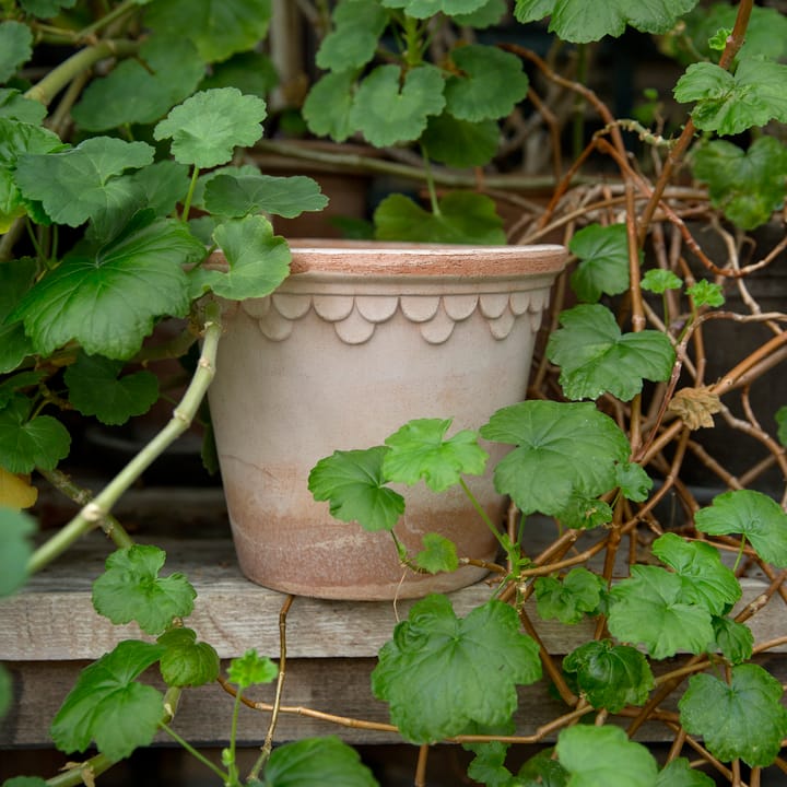 Κεραμικό γλαστράκι Københavner Ø16 εκ., Ροζ Bergs Potter