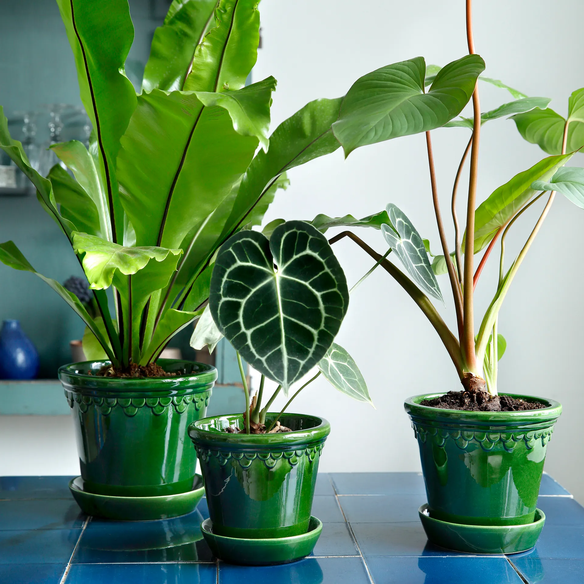 Κεραμικό γλαστράκι Københavner γυαλιστερό Ø18 εκ., Πράσινο Bergs Potter