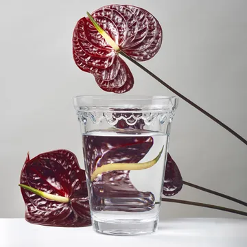 Københavner βάζο - Διαφανές, 21 cm - Bergs Potter