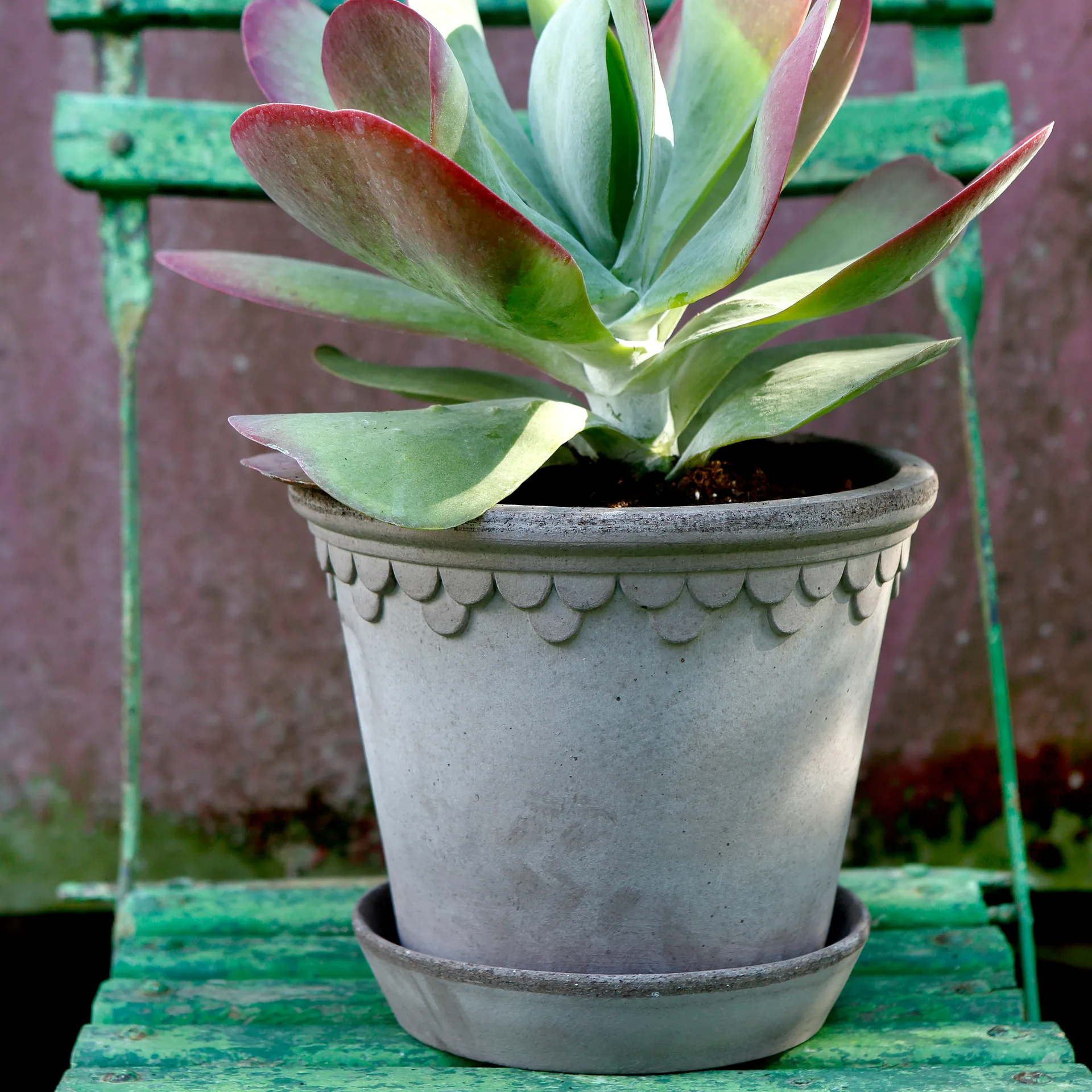 Κεραμικό γλαστράκι Københavner 21 εκ., Γκρι Bergs Potter