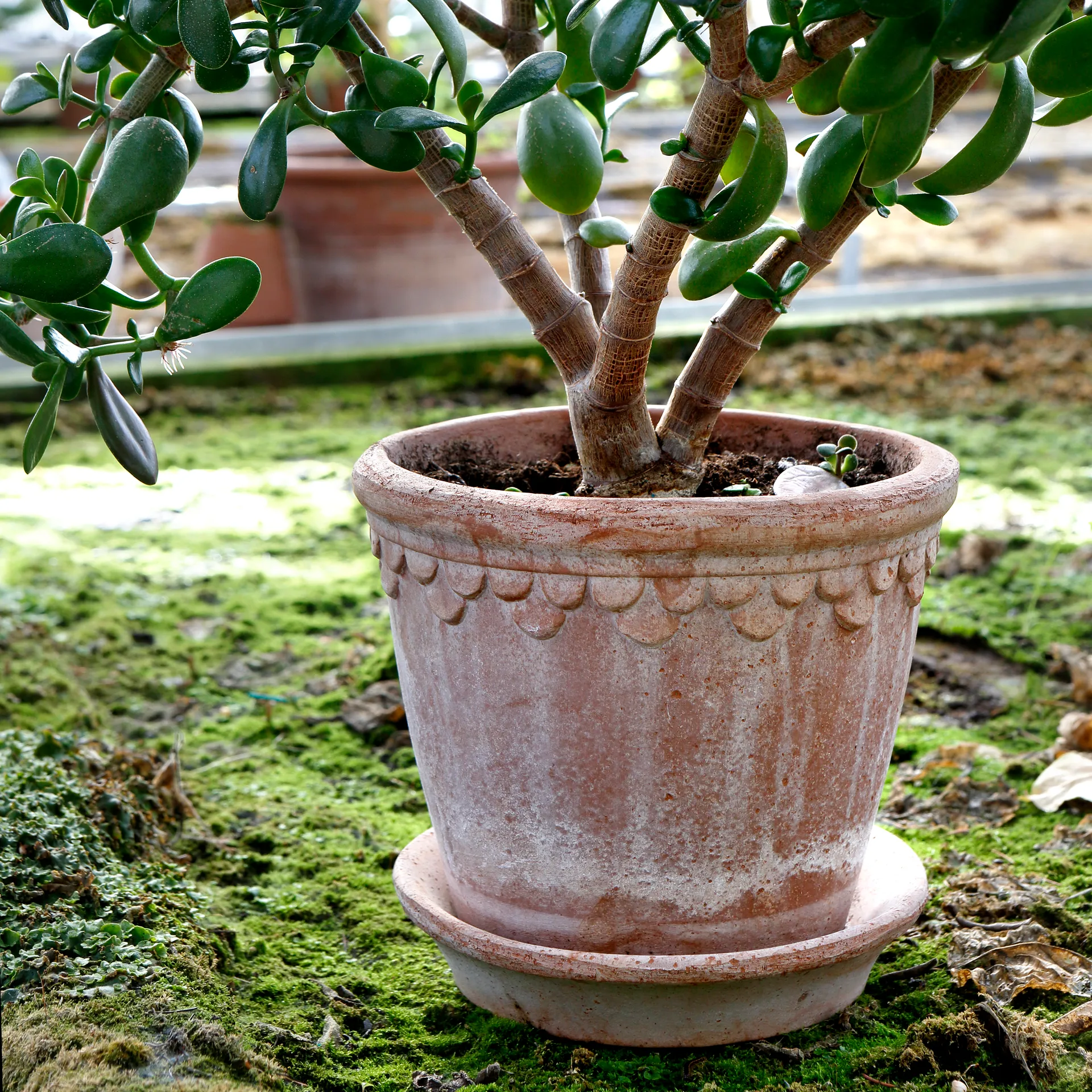 Κεραμικό γλαστράκι Københavner 21 εκ., Ροζ Bergs Potter