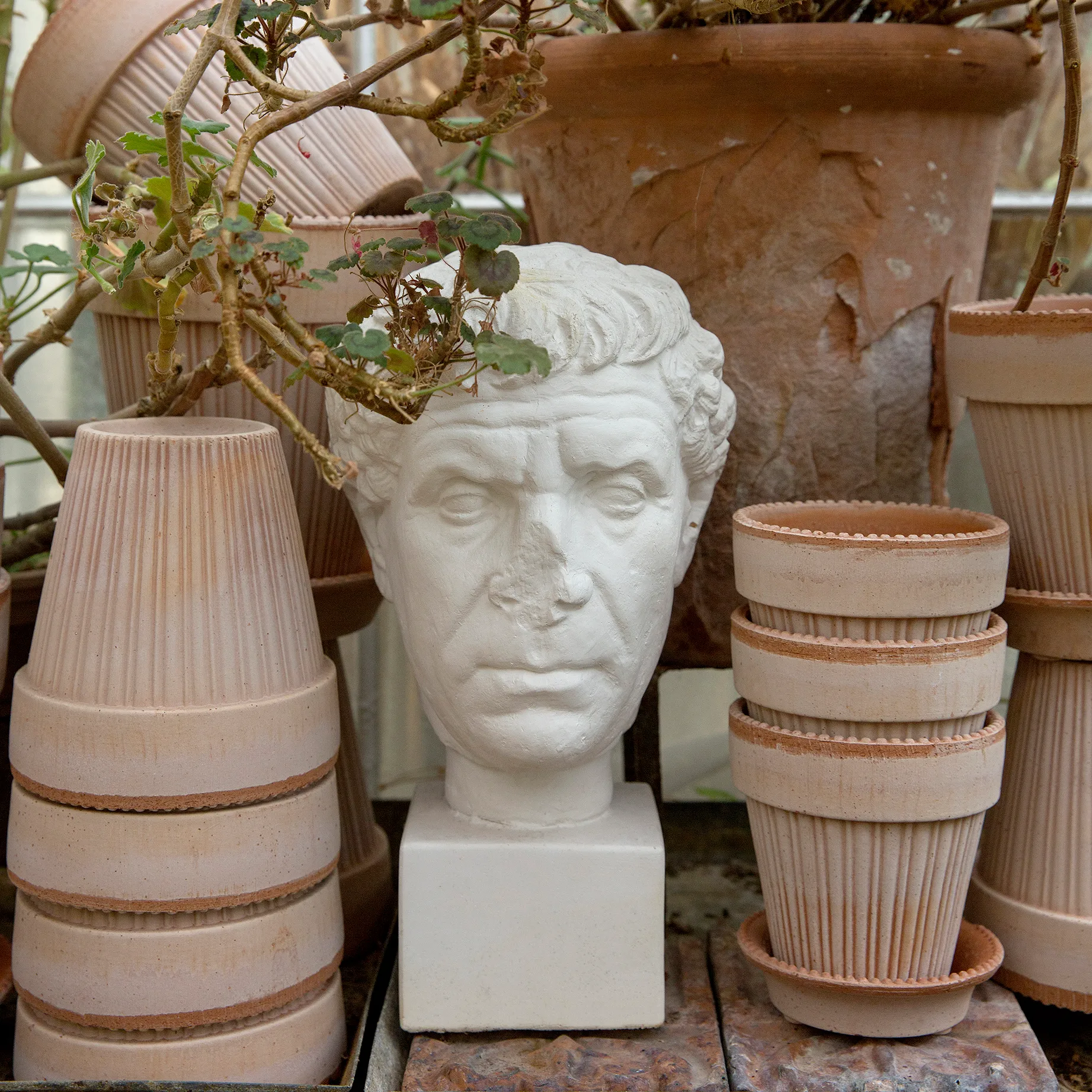 Γλάστρα, Simona, Ø12 εκ, ροζ Bergs Potter