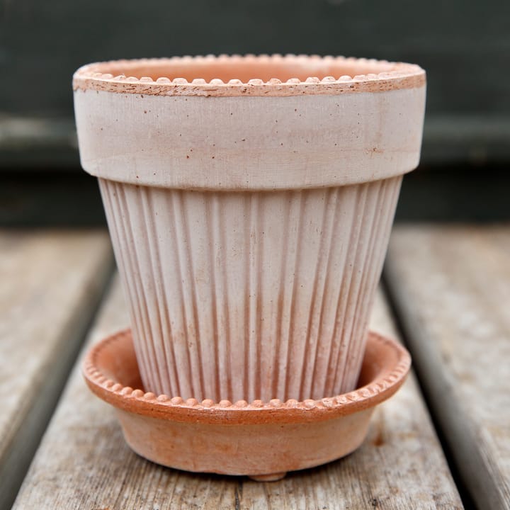 Γλάστρα, Simona, 16 εκ, Ροζ Bergs Potter