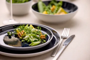 Bitz πιάτο gastro Ø 21 cm - Λευκό-σκούρο μπλε - Bitz