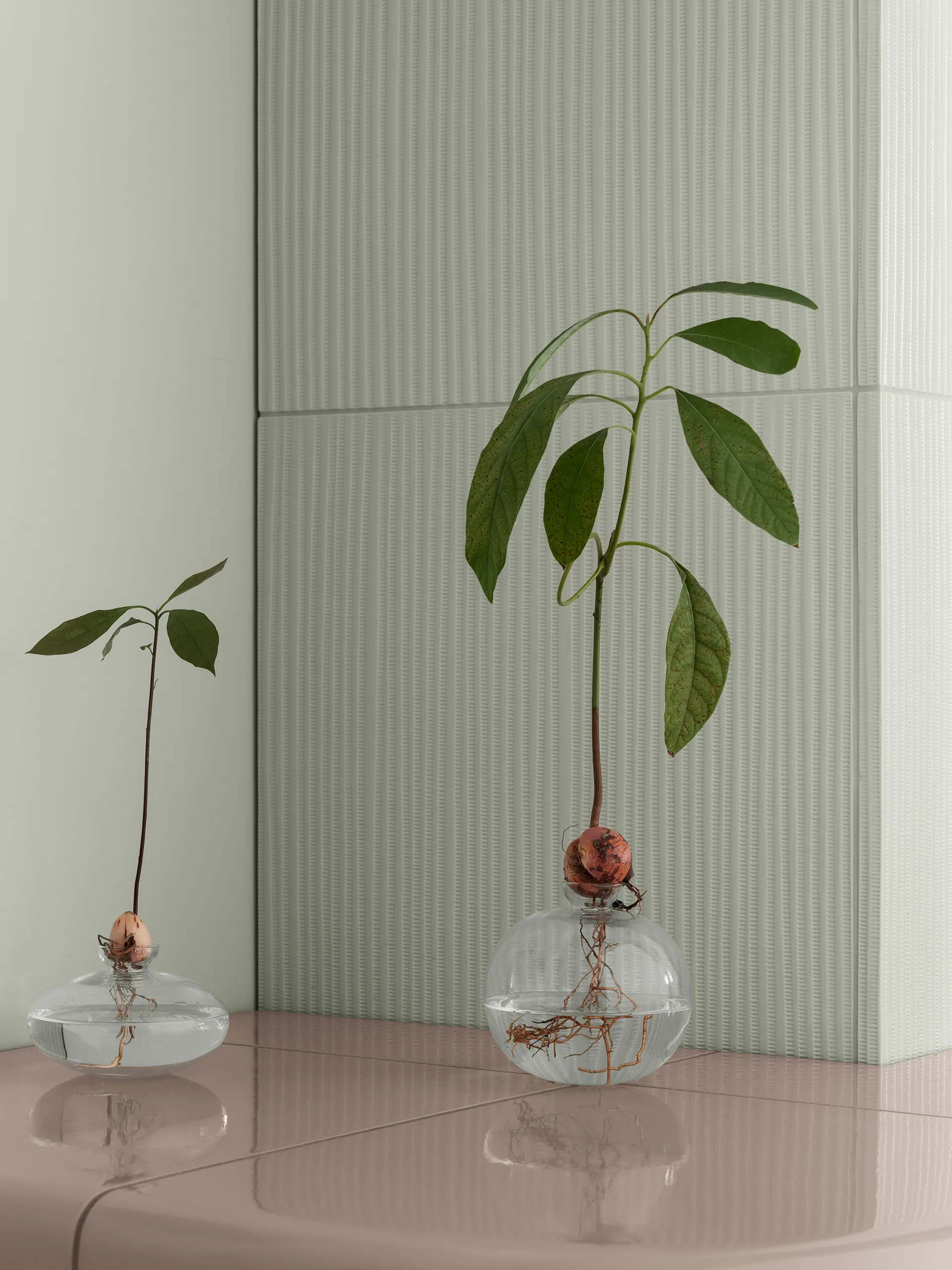 Avo βάζο 14,5 εκ., Διαφανές blomus