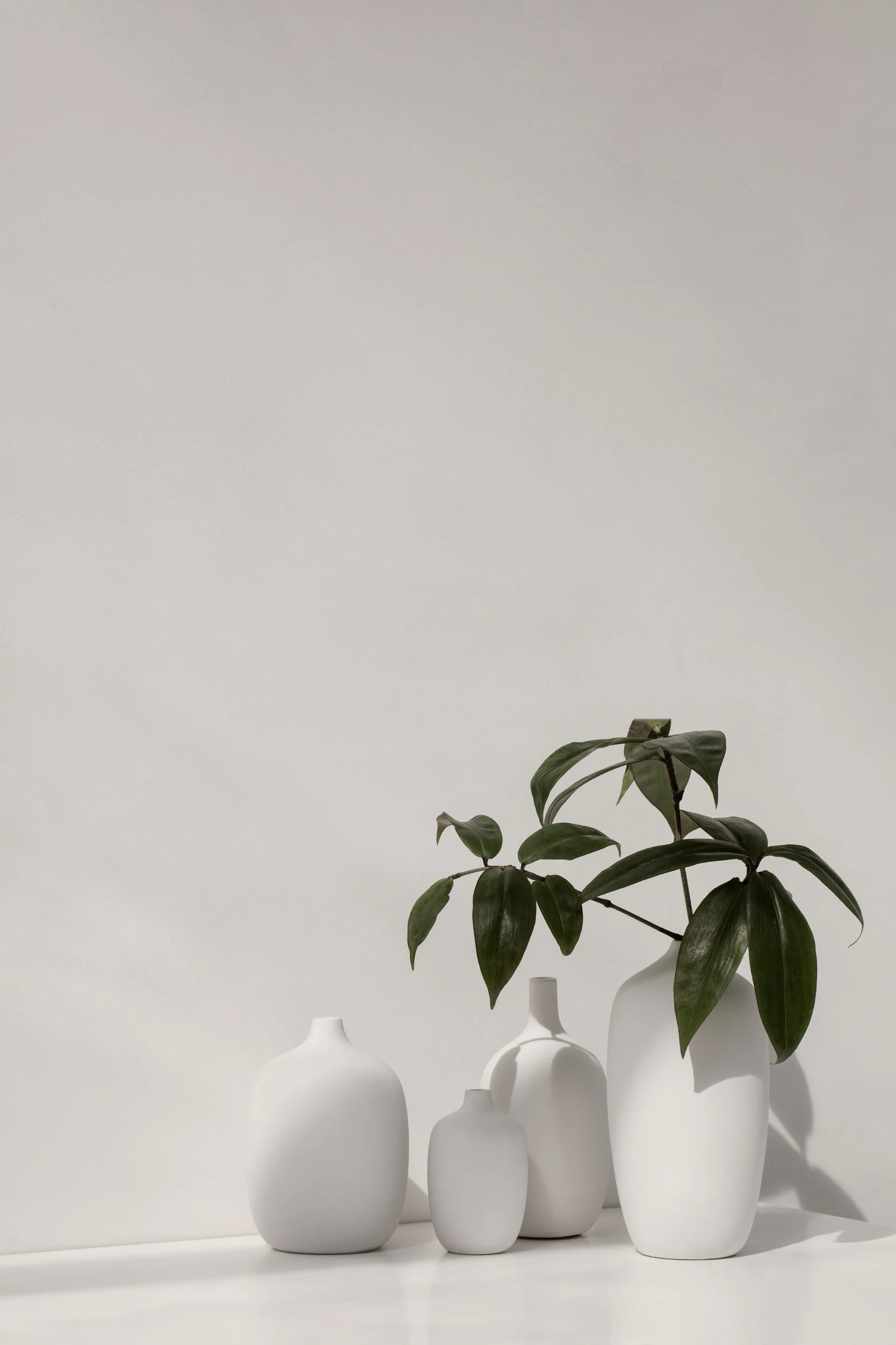 Ceola βάζο 13 εκ., Λευκό blomus