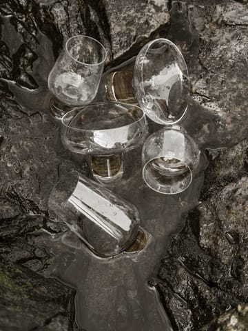 Ποτήρι λικέρ Koyoi 13 cl - Clear - Blomus