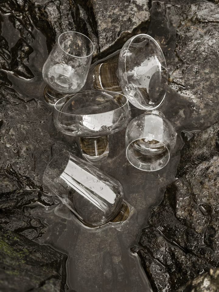 Ποτήρι Prosecco Koyoi 20 cl, Clear Blomus