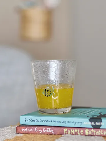 Finney ποτήρι νερού 31 cl - Διαφανές - Bloomingville