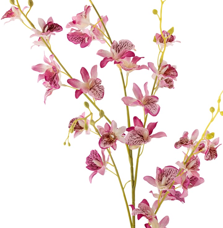 Stem ορχιδέα κερί ανθός, Pink Bloomingville