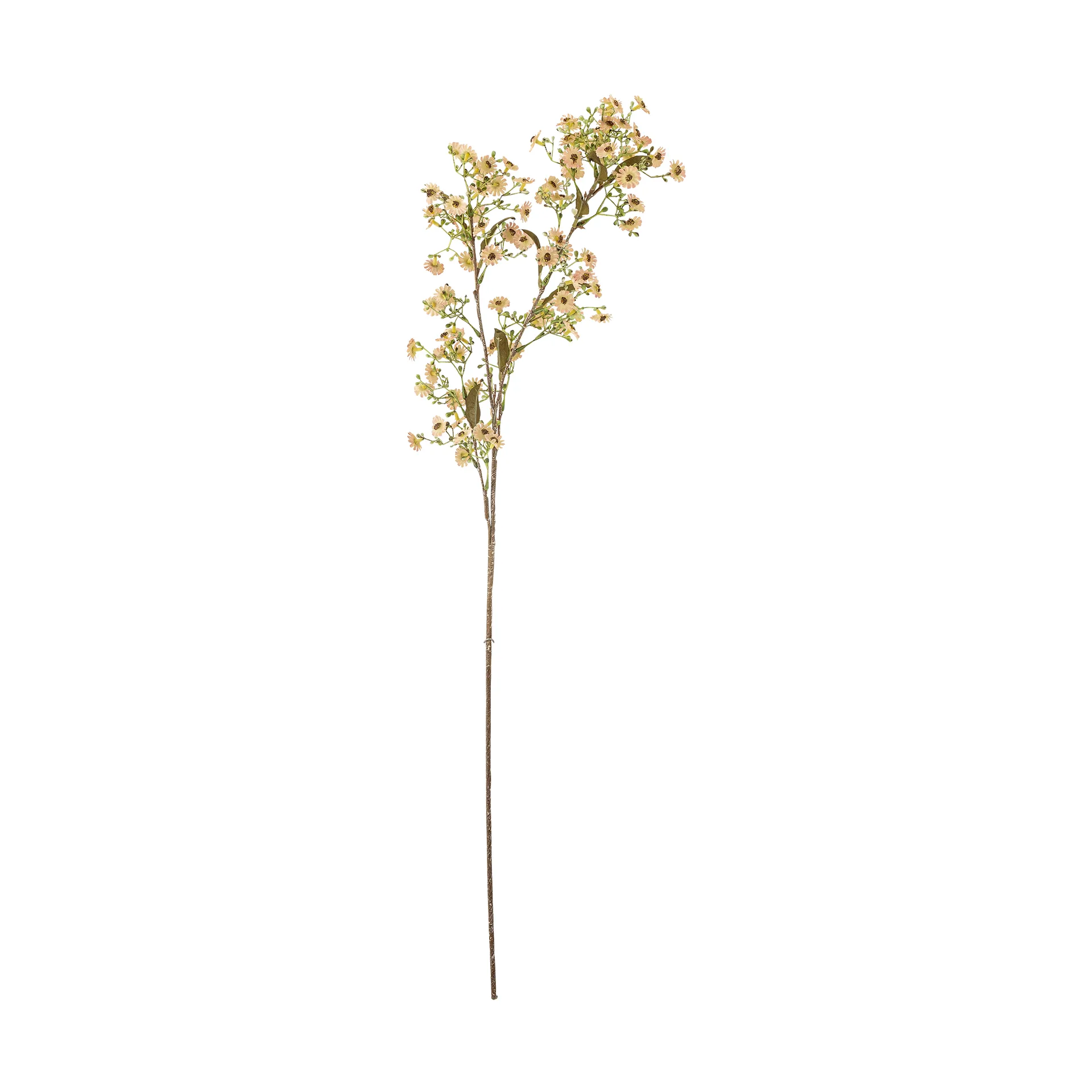 Φυτά Stem, Άσπρο Bloomingville