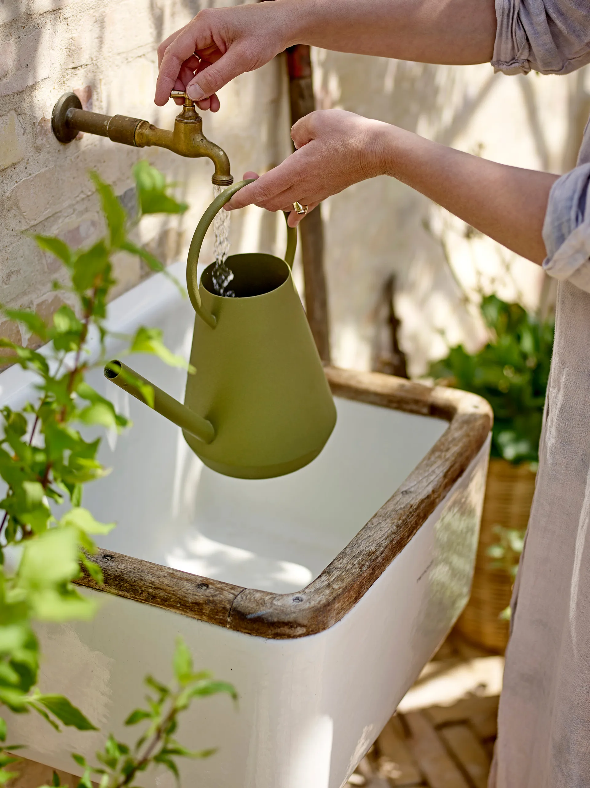 Στάμνα Vallis, Πράσινο Bloomingville