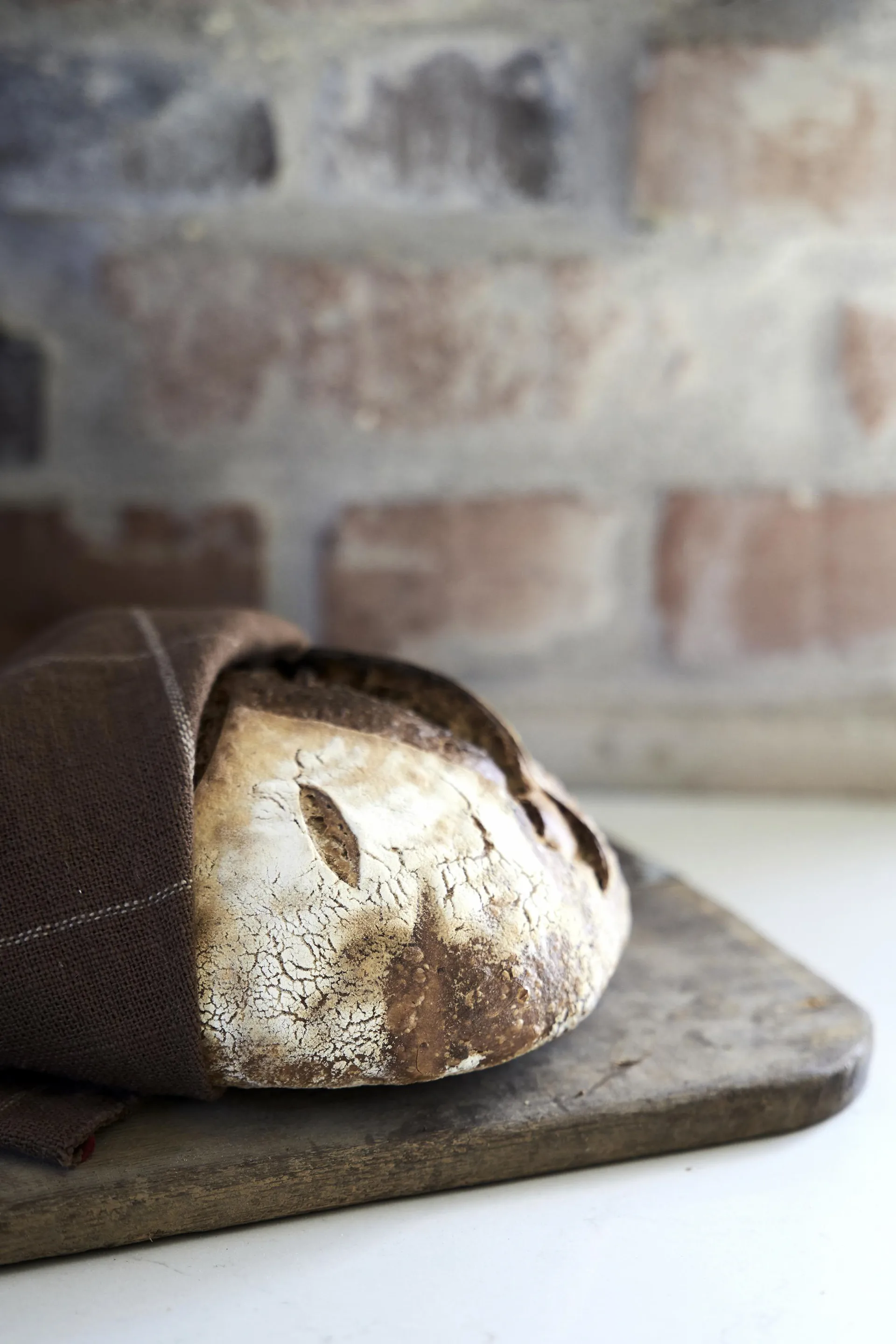 Πετσέτα κουζίνας Lunnevik από βαμβάκι 50x70 εκ, Καφέ Boel & Jan