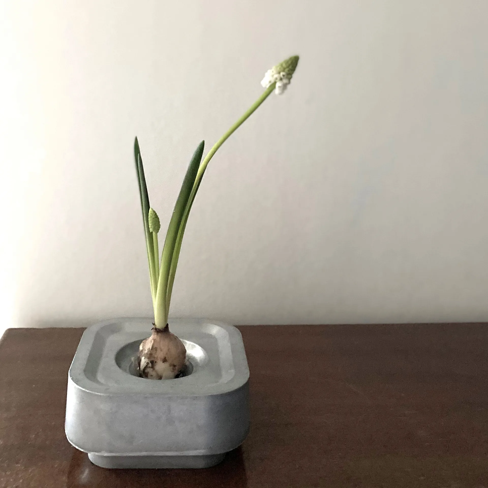 Stumpastaken βάση κεριού Ettan, αλουμίνιο Born In Sweden