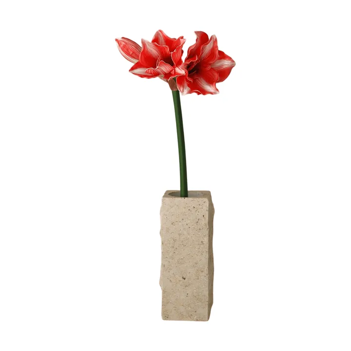 Amaryllis τεχνητό λουλούδι - Σκούρο κόκκινο, 72 εκ. - Botané