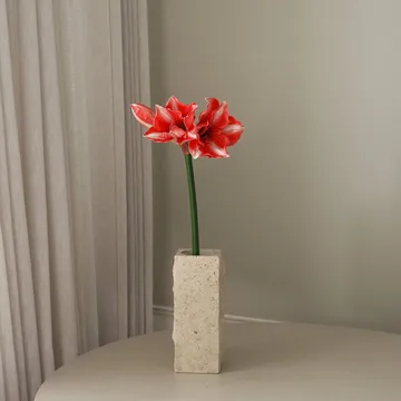 Amaryllis τεχνητό λουλούδι - Σκούρο κόκκινο, 72 εκ. - Botané