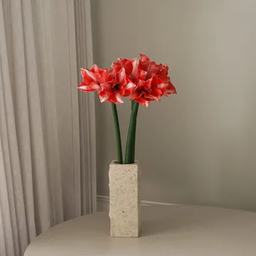 Amaryllis τεχνητό λουλούδι - Σκούρο κόκκινο, 72 εκ. - Botané