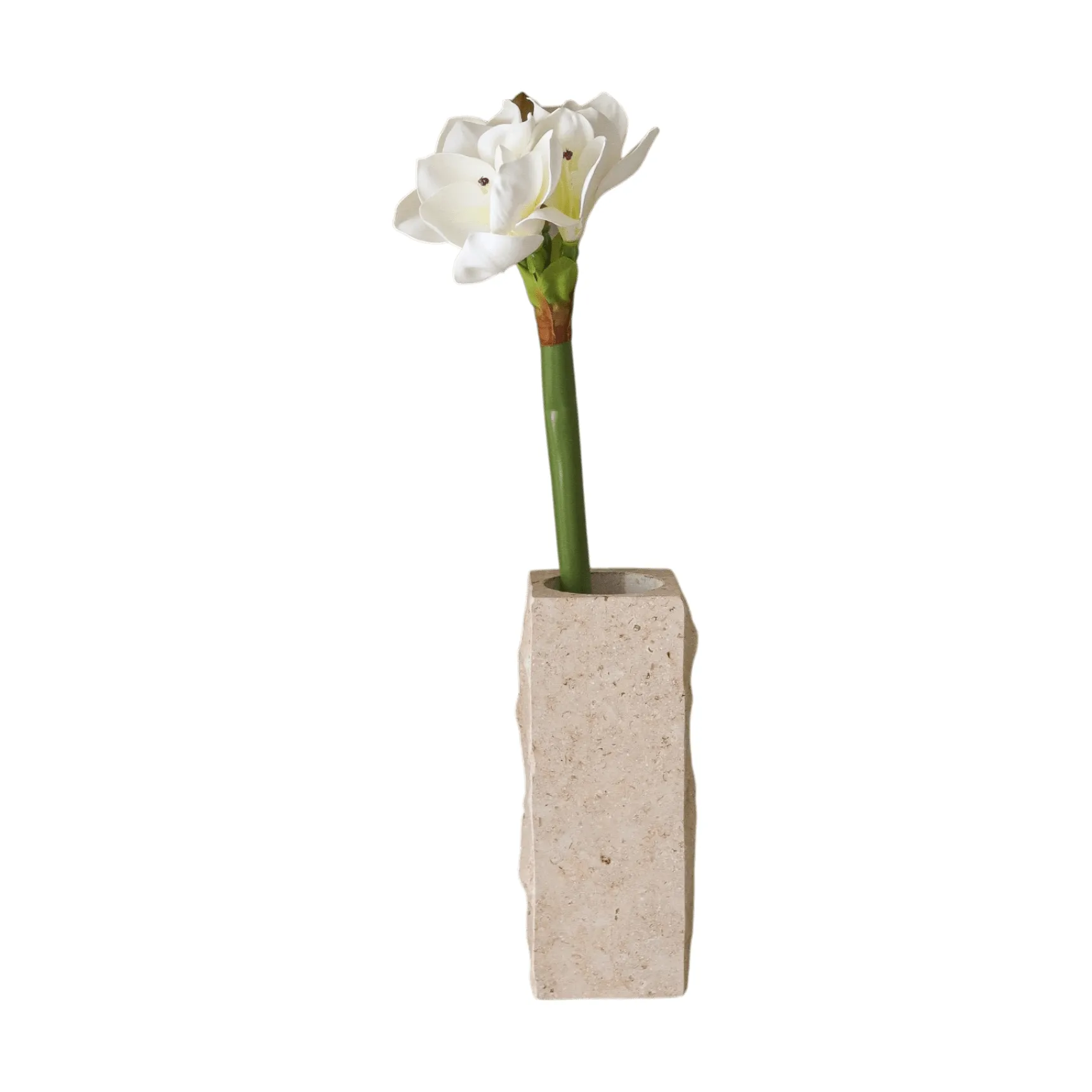Amaryllis τεχνητό λουλούδι, Λευκό, 73 εκ. Botané