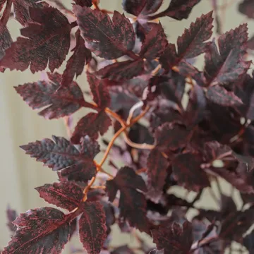Burgundy Plum Leaves τεχνητή ανθοδέσμη - Red, 85 εκ., 1 τεμ. - Botané