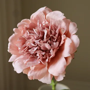 Παιώνια τεχνητό λουλούδι - Dusty pink, 56 εκ., 1 τεμ. - Botané