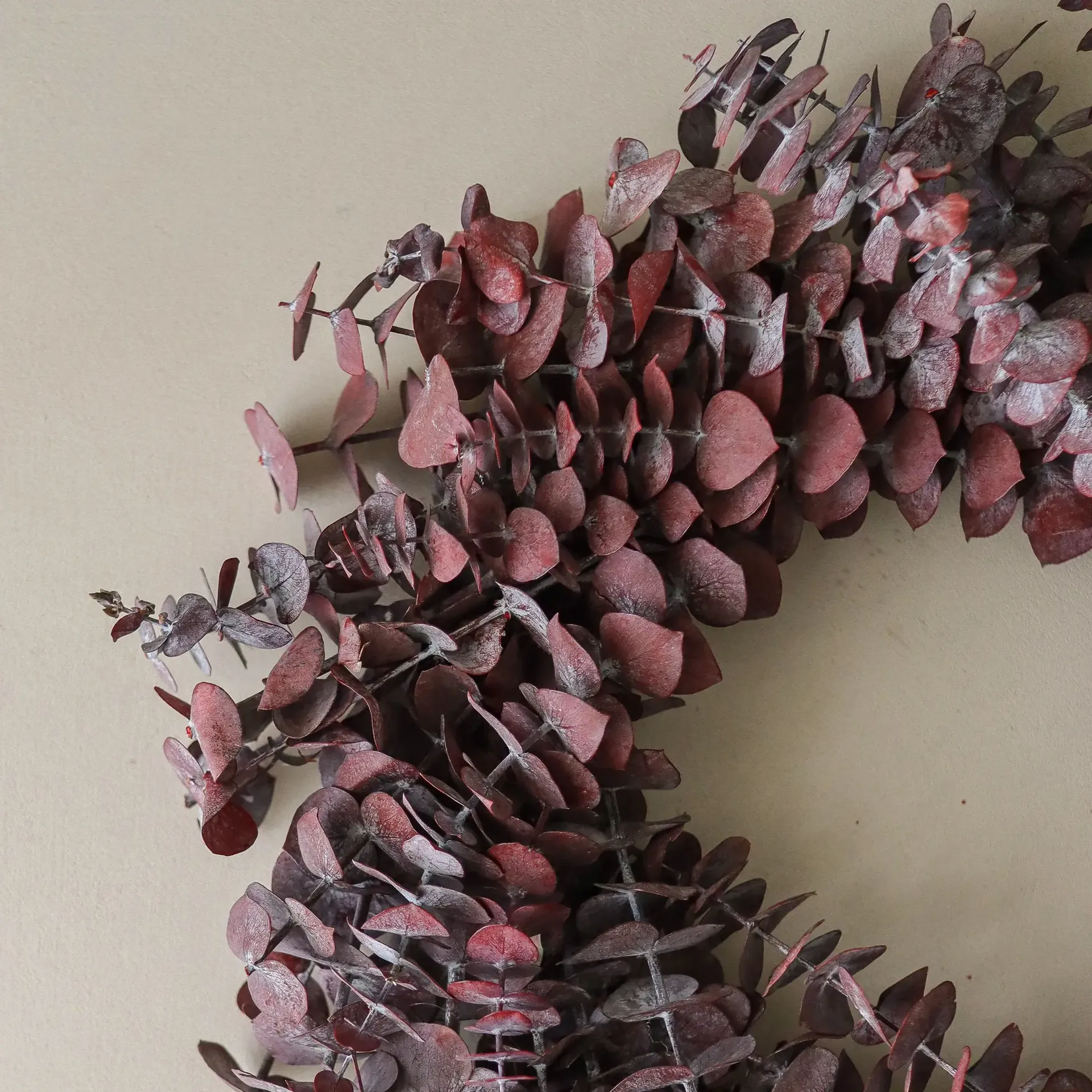 Eucalyptus Wreath στεφάνι, Σκούρο κόκκινο, Ø40 εκ. Botané