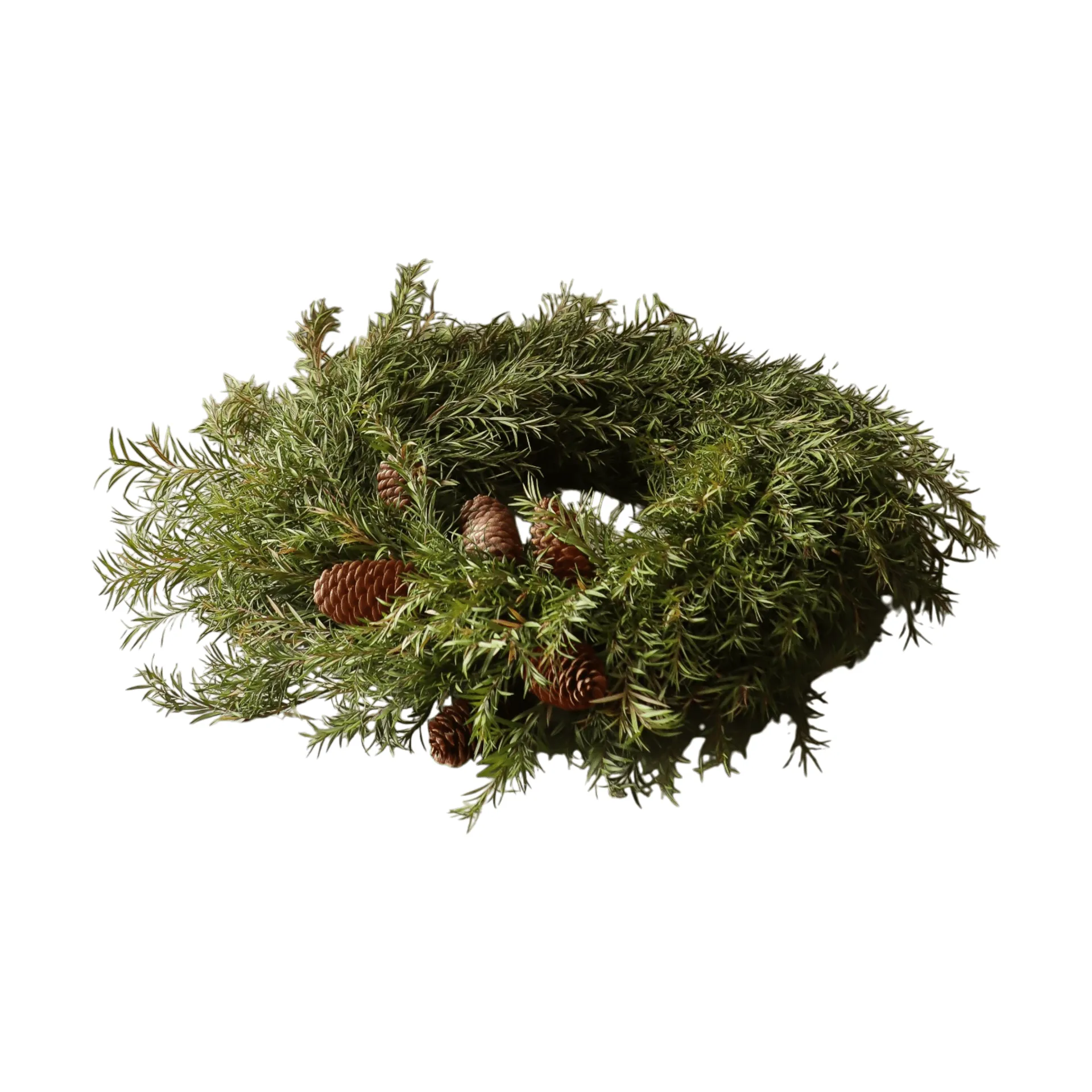 Evergreen Pine Wreath στεφάνι, Κλαδιά ελάτου, Ø40 εκ. Botané