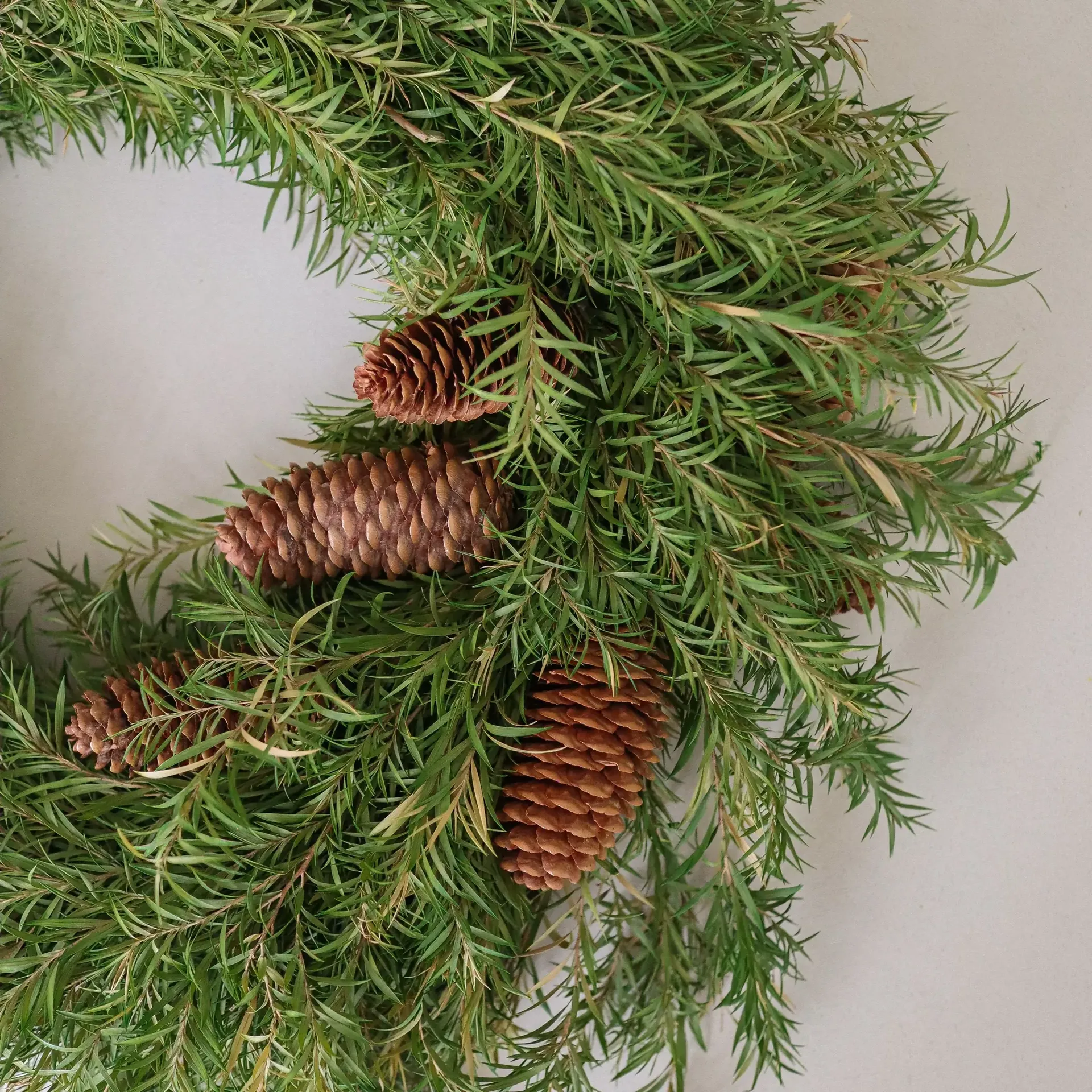 Evergreen Pine Wreath στεφάνι, Κλαδιά ελάτου, Ø40 εκ. Botané