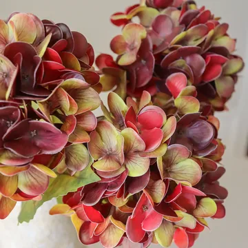 Hortensia τεχνητό μπουκέτο - Σκούρο μπορντό, 60 εκ., 6 τμχ. - Botané