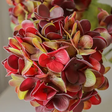 Hortensia τεχνητό λουλούδι - Deep burgundy, 60 εκ., 1 τεμ. - Botané