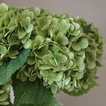 Hortensia τεχνητό μπουκέτο - Moss green, 51 εκ., 6 τεμ. - Botané