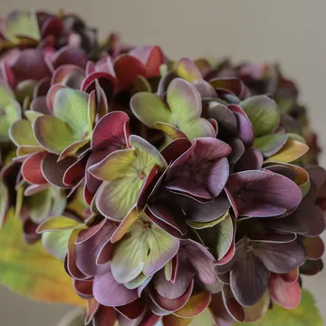 Hortensia τεχνητό λουλούδι - Muted purple, 60 εκ., 1 τμχ. - Botané