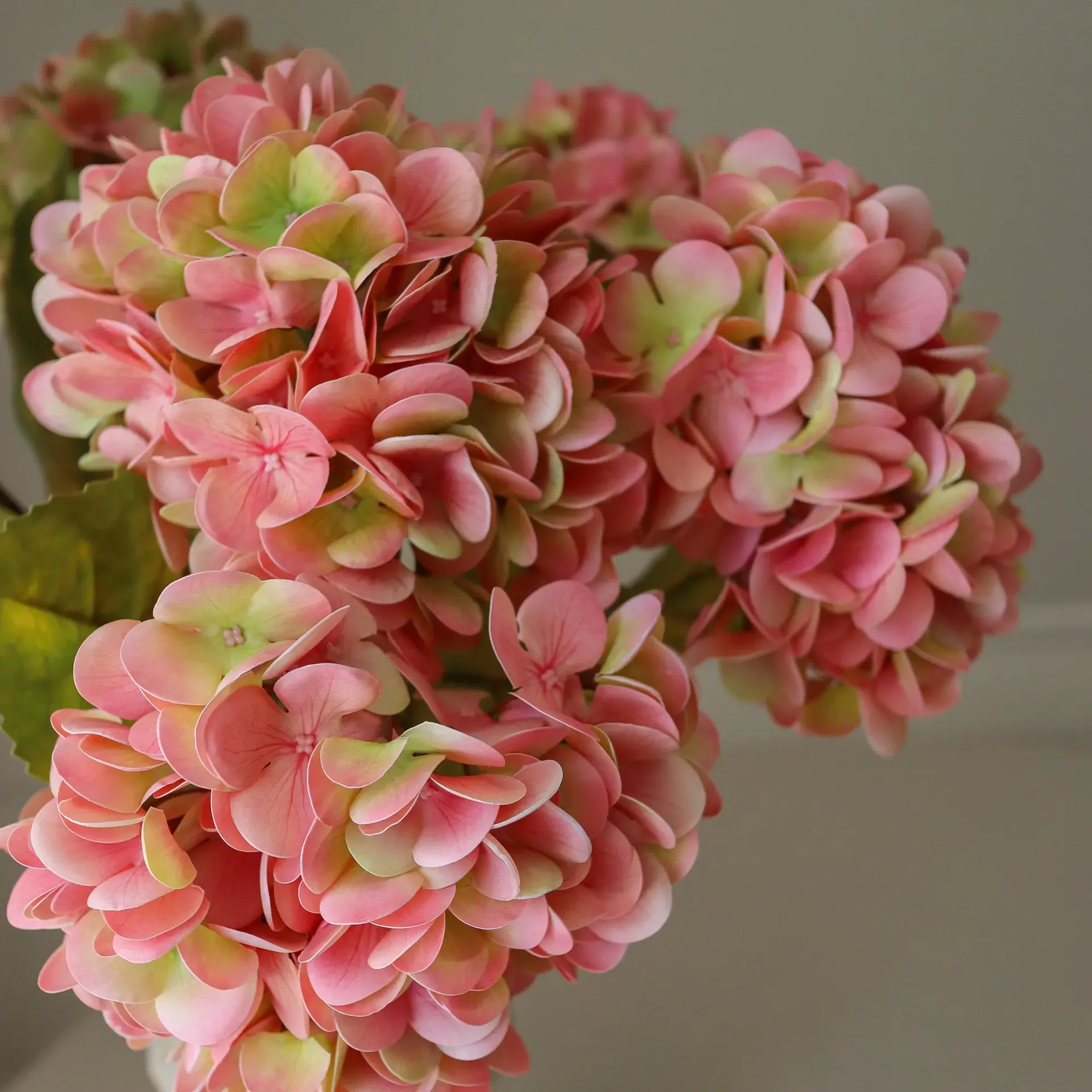 Hortensia τεχνητό μπουκέτο, Soft pink, 60 εκ., 5 τεμ. Botané
