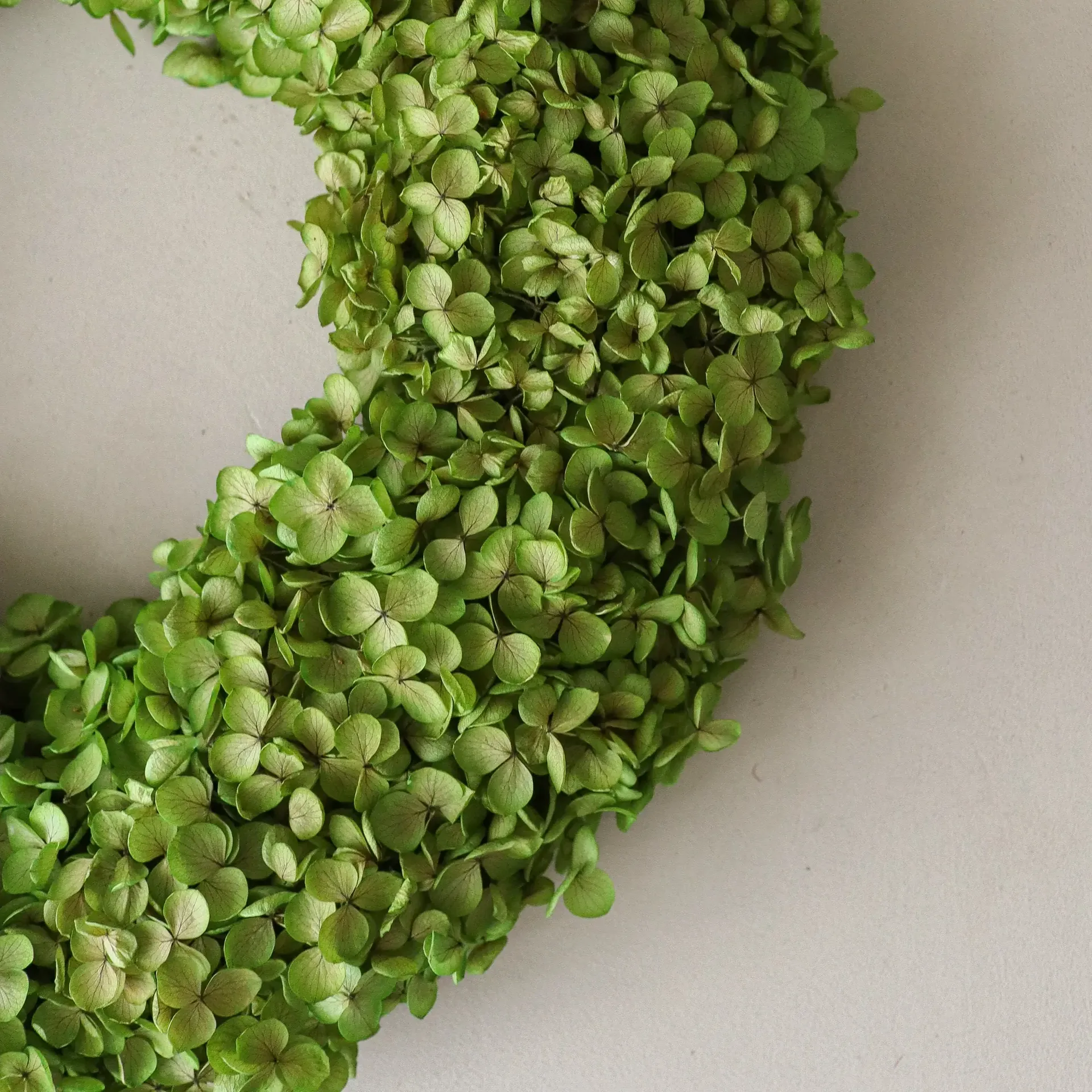 Hortensia Wreath στεφάνι λουλουδιών, Light green, Ø40 εκ. Botané