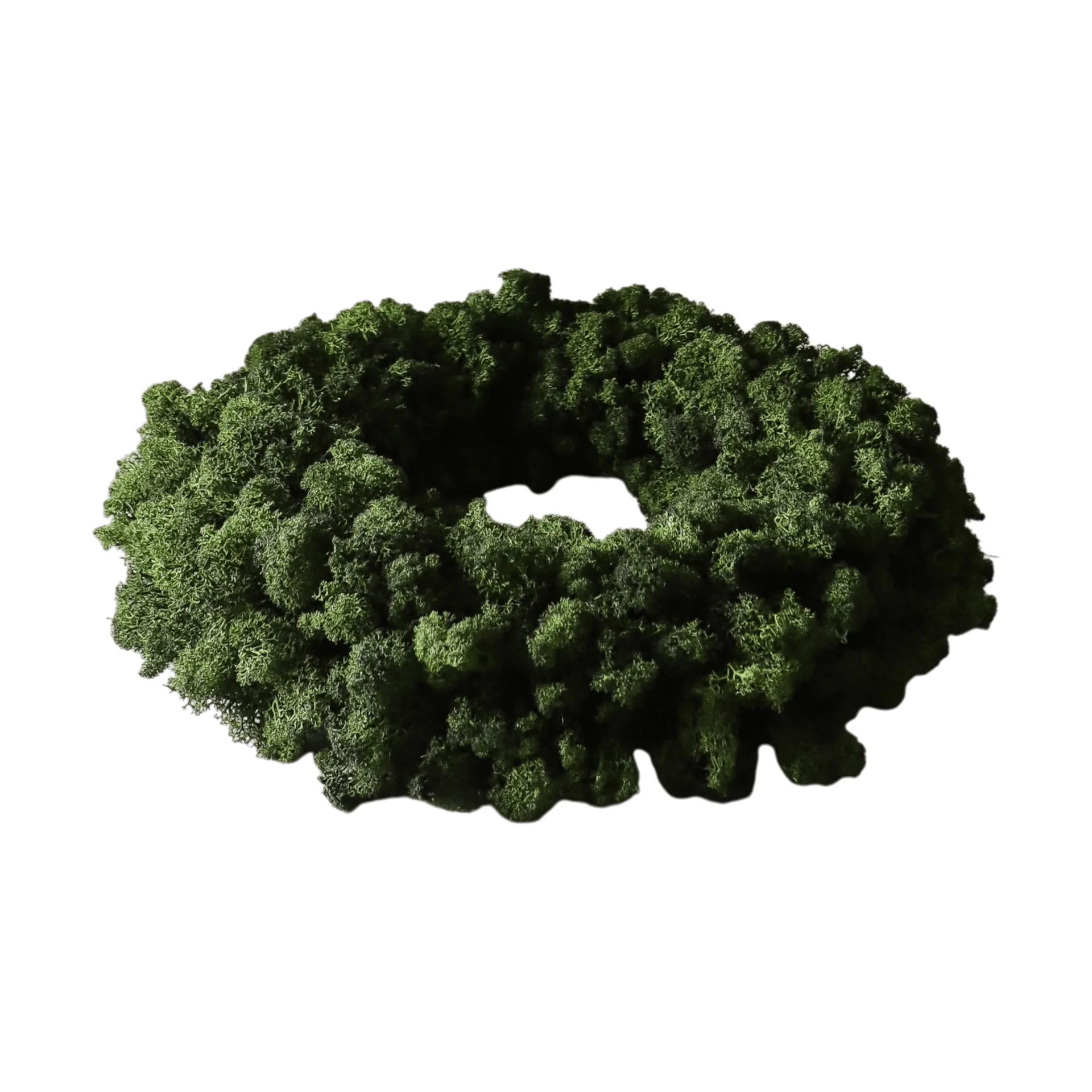 Moss Wreath στεφάνι με βρύα, Πράσινο, Ø40 εκ. Botané