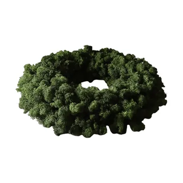 Moss Wreath στεφάνι με βρύα - Πράσινο, Ø40 εκ. - Botané