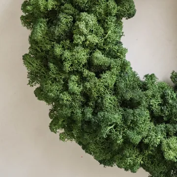 Moss Wreath στεφάνι με βρύα - Πράσινο, Ø40 εκ. - Botané