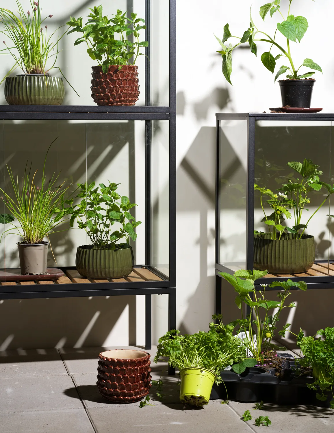 Grower Greens ντουλάπι φυτών, Μάυρο, 81x137 cm Brafab