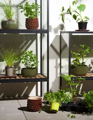 Grower Greens ντουλάπι φυτών - Μάυρο, 81x137 cm - Brafab