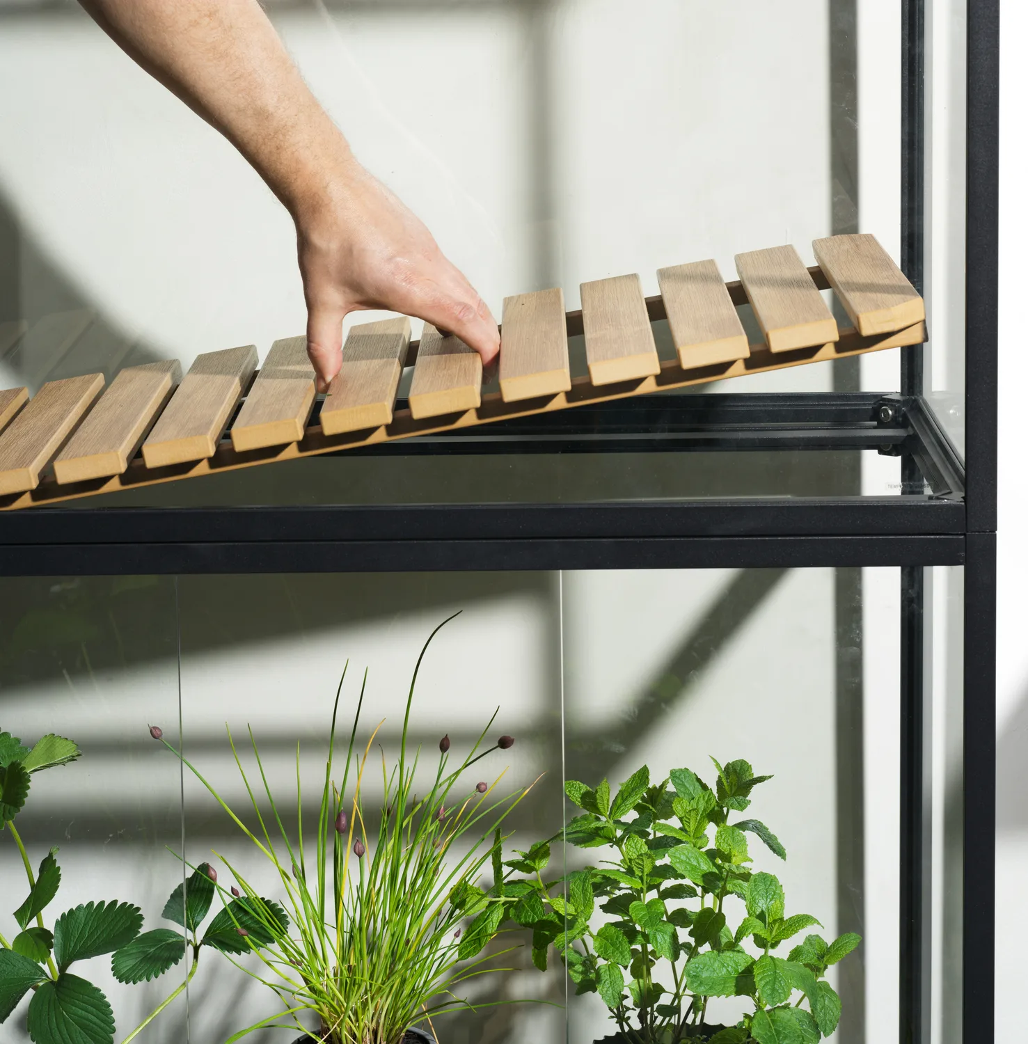 Grower Greens ντουλάπι φυτών, Μάυρο, 81x137 cm Brafab