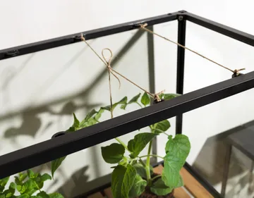 Grower Greens ντουλάπι φυτών - Μάυρο, 81x137 cm - Brafab