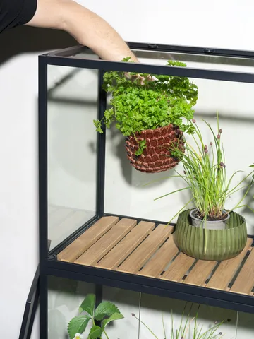 Grower Greens ντουλάπι φυτών - Μάυρο, 81x137 cm - Brafab