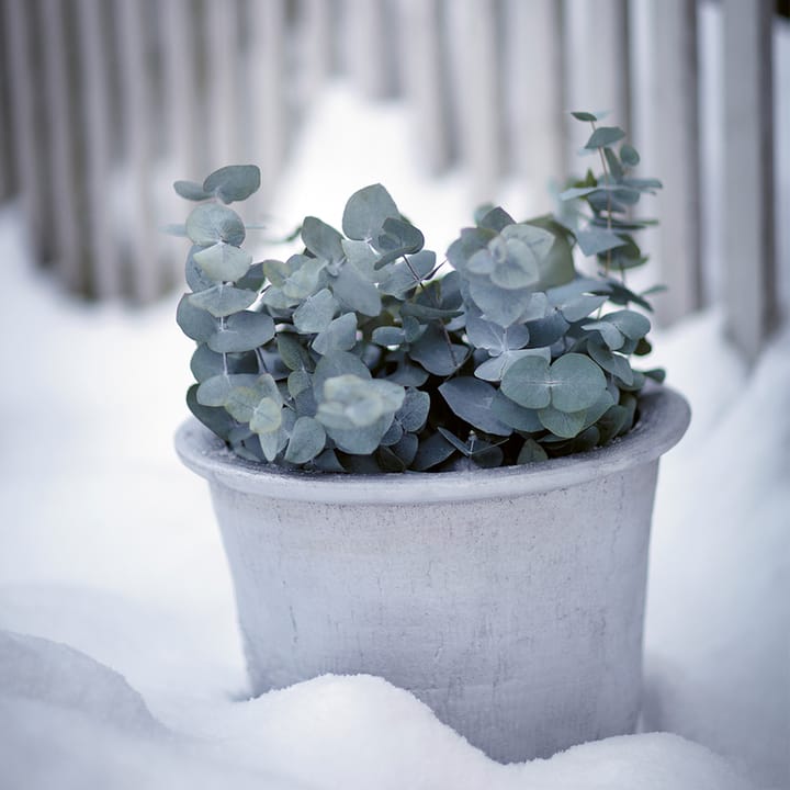Cilla plant pot Ø37 cm, Αλουμίνιο Byarums bruk