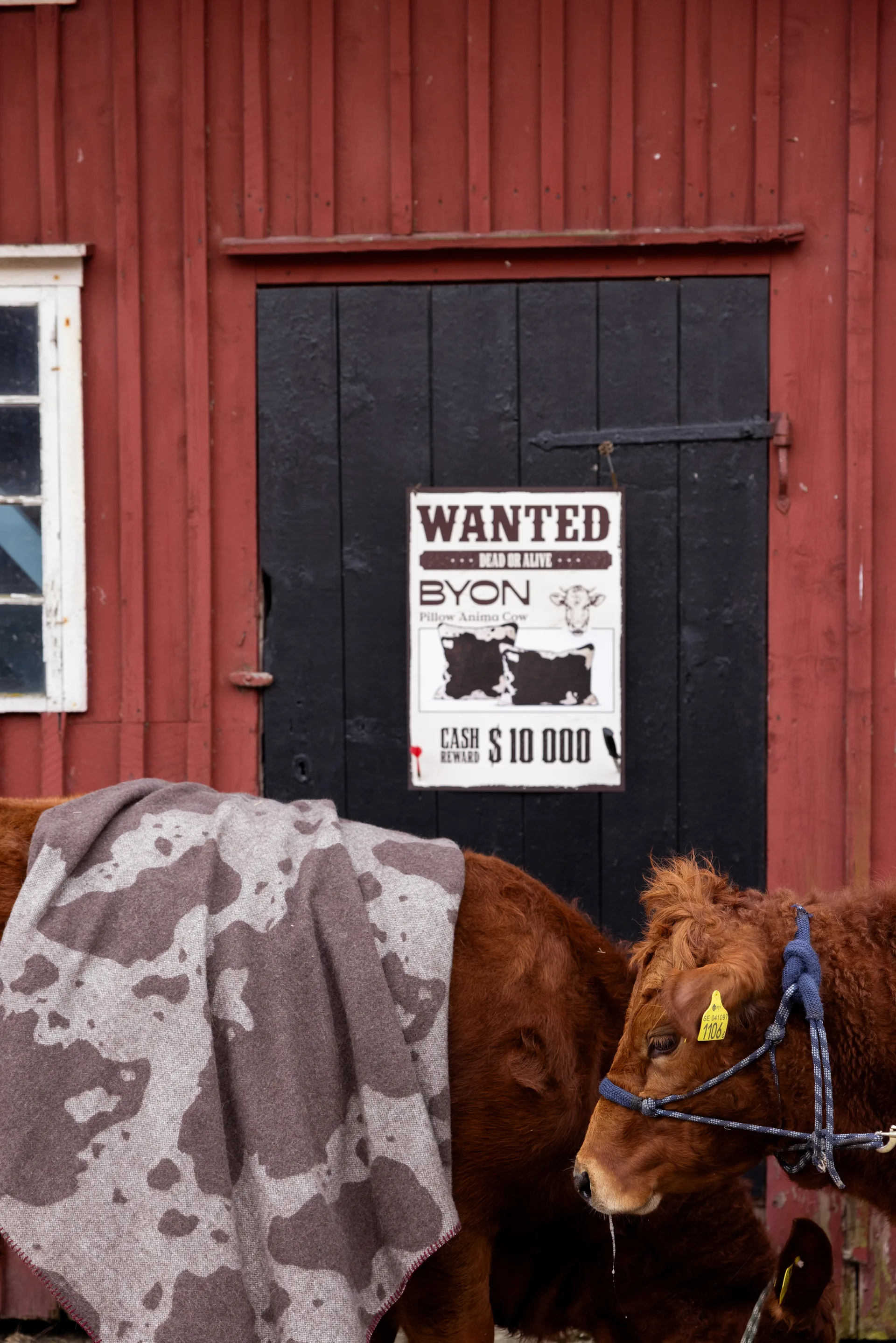 Anima κουβέρτα 130x200 εκ., Αγελάδα Byon