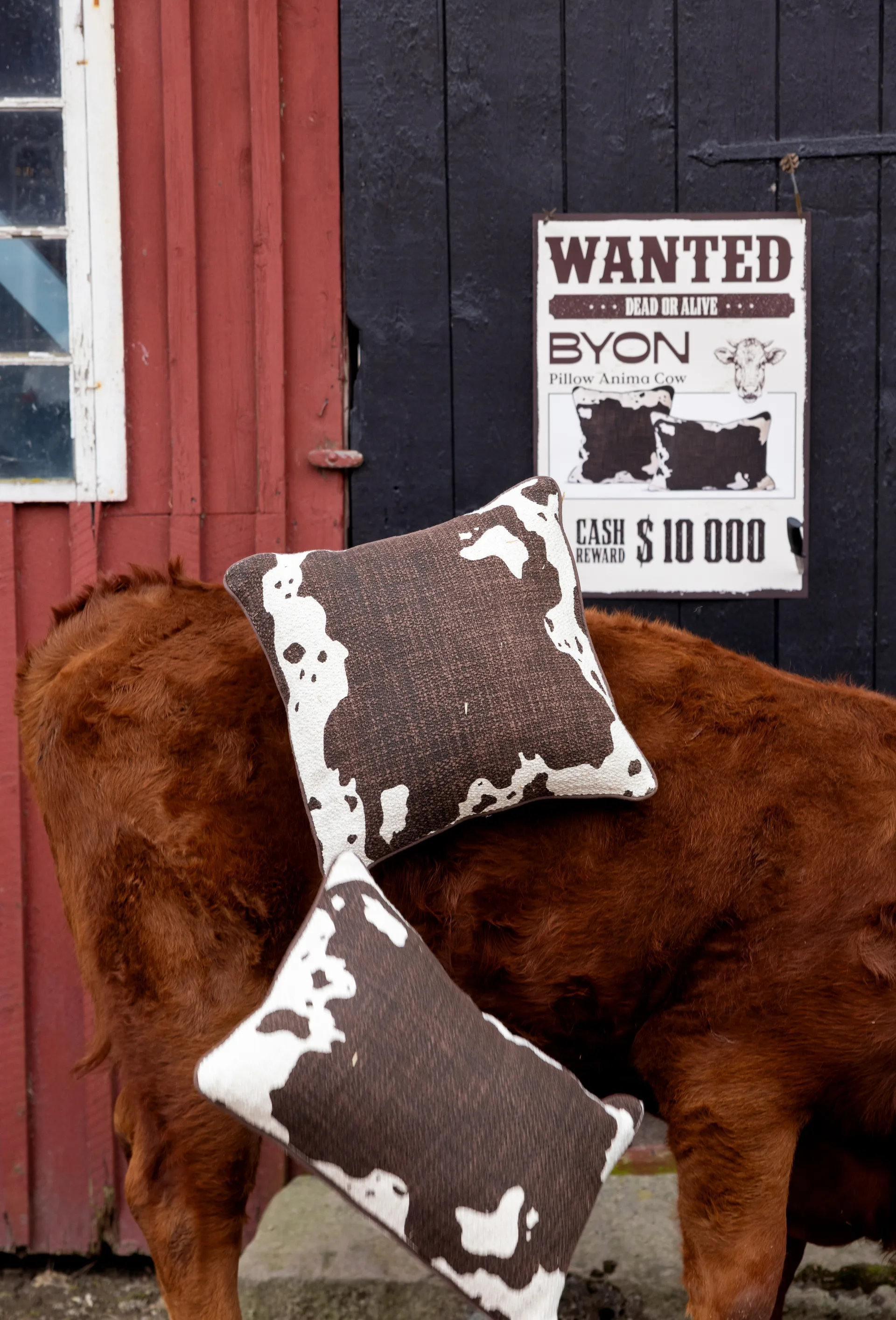 Anima μαξιλάρι L 40x60 εκ., Αγελάδα Byon