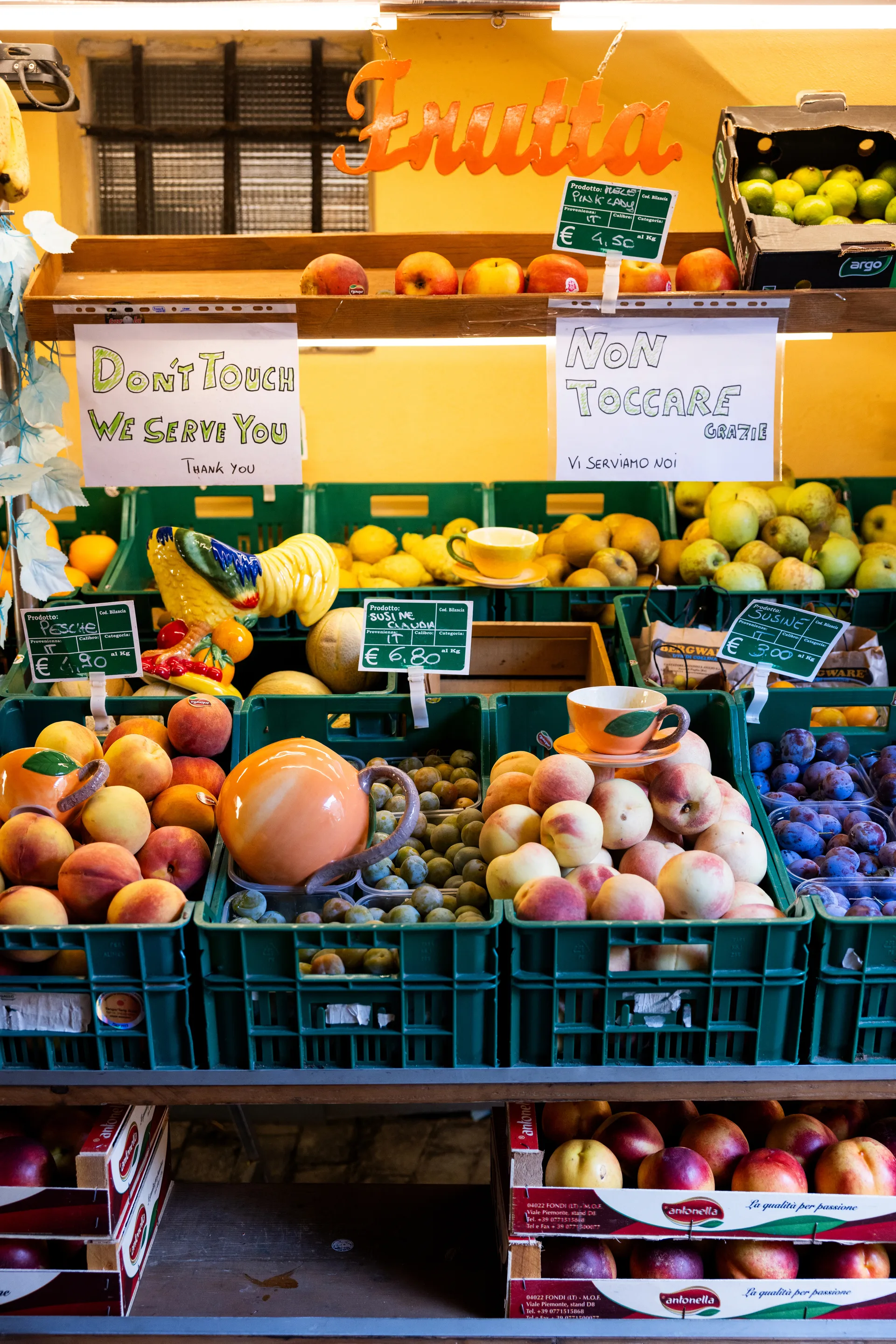 Peach φλιτζάνι με πιατάκι, Πορτοκαλί Byon