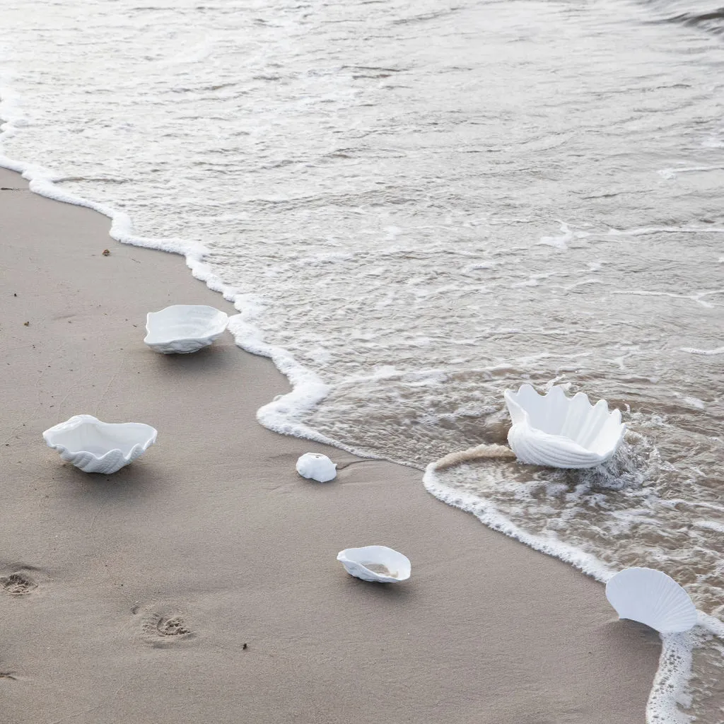 Shell μπολ, 13 x 23 cm Byon