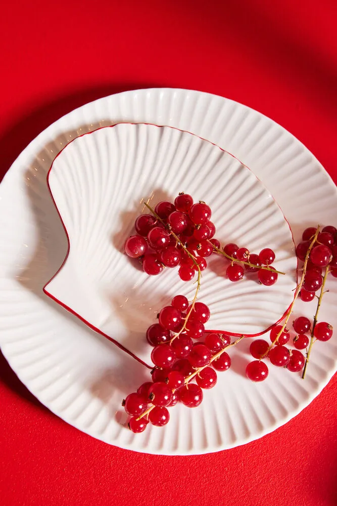 Πιάτο Shell Line S 13x16 εκ., Λευκό-κόκκινο Byon