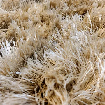 Shaggy χαλί 170x230 cm - σαμπανιζέ - Classic Collection