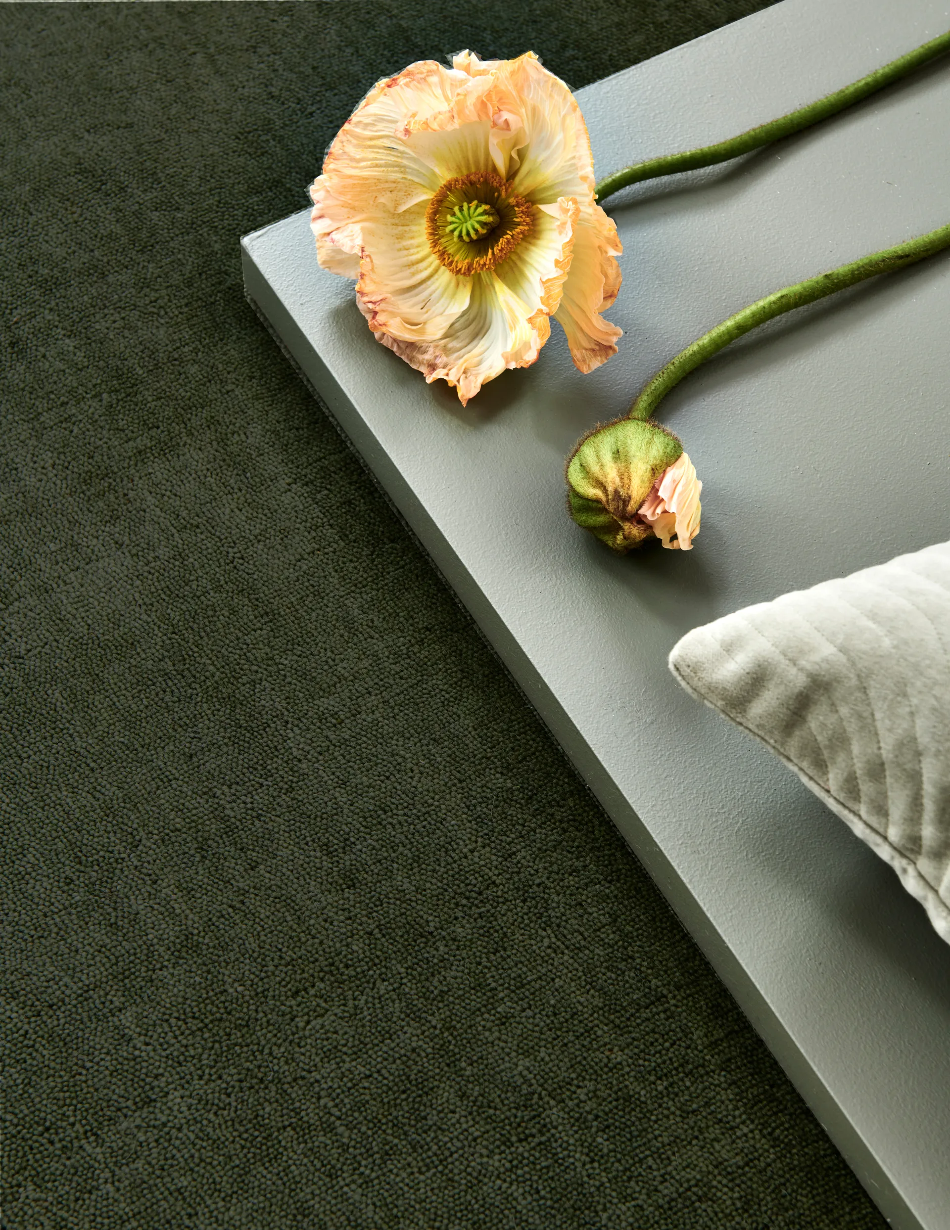 Χαλί Solid, Green, 200x300 εκ. Classic Collection