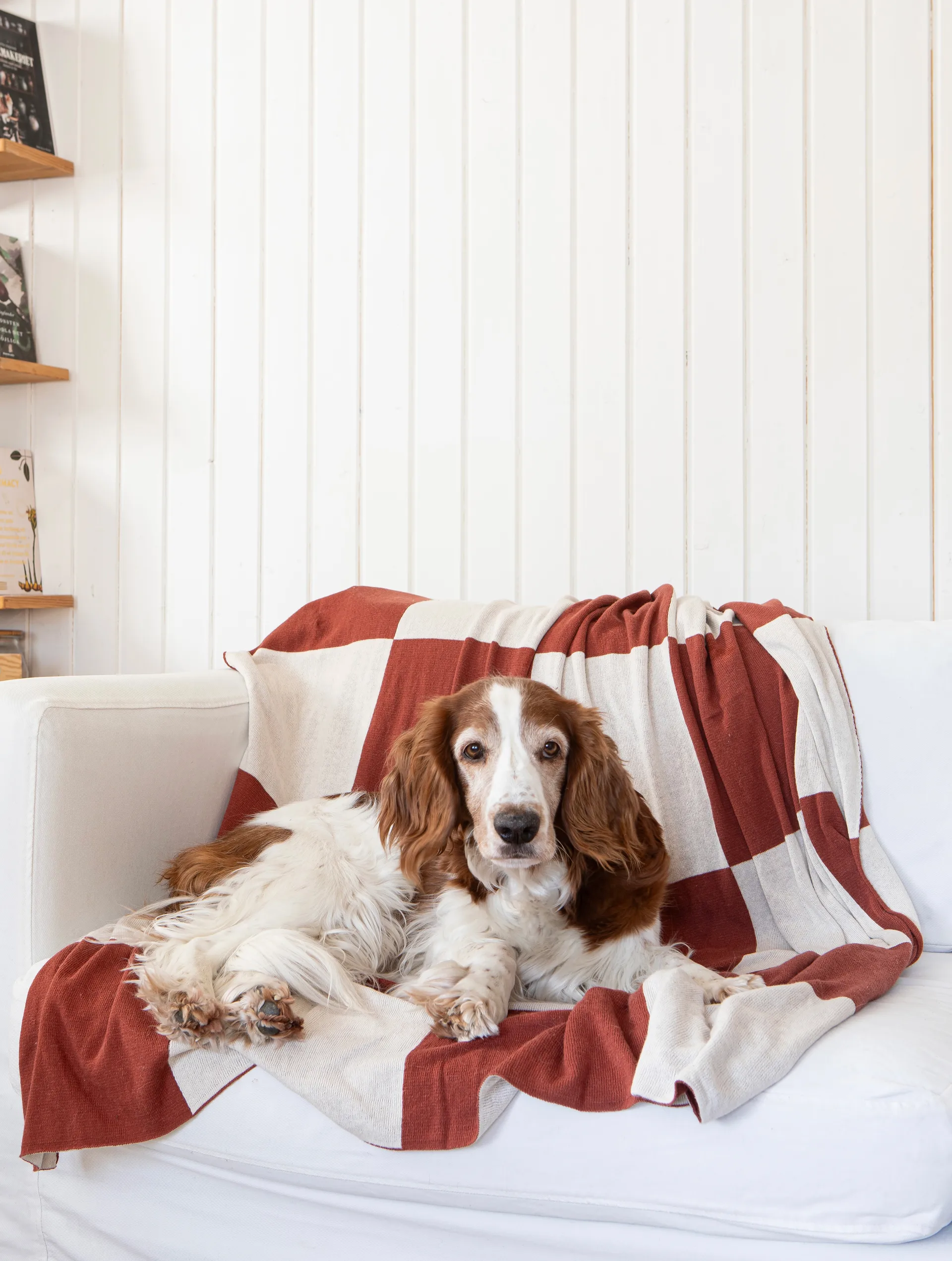 Ριχτάρι Square 130x170 cm, Σκούρο Brown Classic Collection